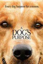 Watch A Dog's Purpose Projectfreetv