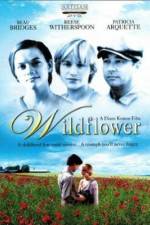 Watch Wildflower Projectfreetv