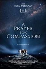 Watch A Prayer for Compassion Online Projectfreetv