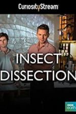 Watch Insect Dissection: How Insects Work Projectfreetv