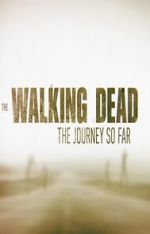 Watch The Walking Dead: The Journey So Far Projectfreetv