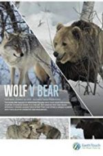 Watch Wolf vs Bear Projectfreetv