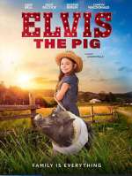 Watch Elvis the Pig Projectfreetv