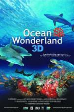 Watch Ocean Wonderland Projectfreetv