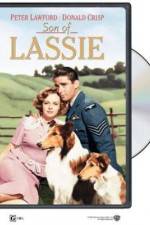 Watch Son of Lassie Projectfreetv