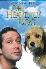 Watch Oh Heavenly Dog Projectfreetv