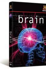 Watch The Brain Projectfreetv