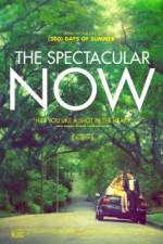 Watch The Spectacular Now Projectfreetv