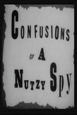 Watch Confusions of a Nutzy Spy Projectfreetv