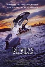 Watch Free Willy 2: The Adventure Home Projectfreetv