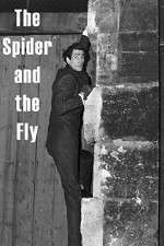 Watch The Spider and the Fly Projectfreetv