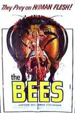 Watch The Bees Projectfreetv