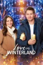 Watch Love in Winterland Projectfreetv