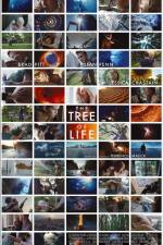 Watch The Tree of Life Projectfreetv