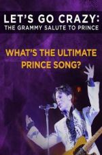 Watch Let\'s Go Crazy: The Grammy Salute to Prince Projectfreetv