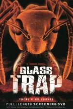 Watch Glass Trap Online Projectfreetv