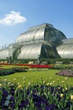 Watch Cruickshank on Kew: The Garden That Changed the World Projectfreetv