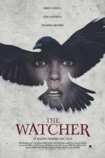 Watch The Ravens Watch Projectfreetv