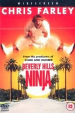 Watch Beverly Hills Ninja Online Projectfreetv