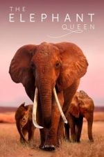 Watch The Elephant Queen Projectfreetv