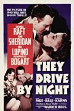 Watch They Drive by Night Online Projectfreetv