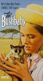 Watch The Bushbaby Projectfreetv