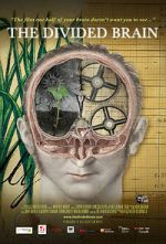 Watch The Divided Brain Online Projectfreetv