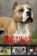 Watch American Pit Bull Projectfreetv