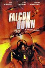 Watch Falcon Down Projectfreetv