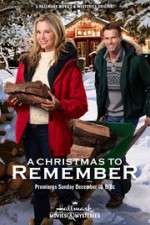 Watch A Christmas to Remember Projectfreetv