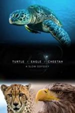 Watch Turtle, Eagle, Cheetah: A Slow Odyssey Projectfreetv