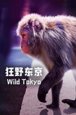 Watch Wild Tokyo (TV Special 2020) Projectfreetv