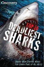 Watch National Geographic Worlds Deadliest Sharks Projectfreetv
