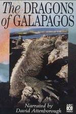 Watch The Dragons of Galapagos Projectfreetv