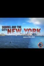 Watch Sharks and the City: New York Projectfreetv