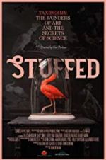 Watch Stuffed Projectfreetv