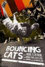 Watch Bouncing Cats Projectfreetv