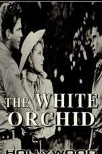 Watch The White Orchid Projectfreetv