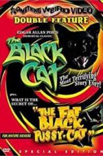 Watch The Black Cat Projectfreetv