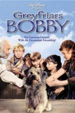 Watch Greyfriars Bobby The True Story of a Dog Projectfreetv