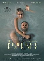 Watch A Perfect Enemy Online Projectfreetv