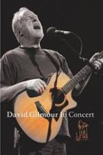 Watch David Gilmour in Concert - Live at Robert Wyatt's Meltdown Projectfreetv