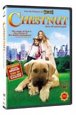 Watch Chestnut - Hero of Central Park Projectfreetv