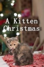 Watch A Kitten Christmas Online Projectfreetv