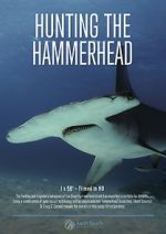 Watch Hunting the Hammerhead Online Projectfreetv