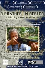 Watch A Panther in Africa Projectfreetv