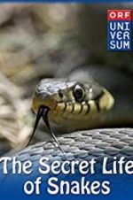 Watch The Secret Life of Snakes Projectfreetv