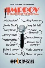 The Improv: 50 Years Behind the Brick Wall (TV Special 2013) projectfreetv