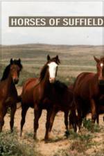 Watch Horses of Suffield Projectfreetv