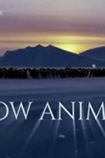 Watch Snow Animals Projectfreetv
